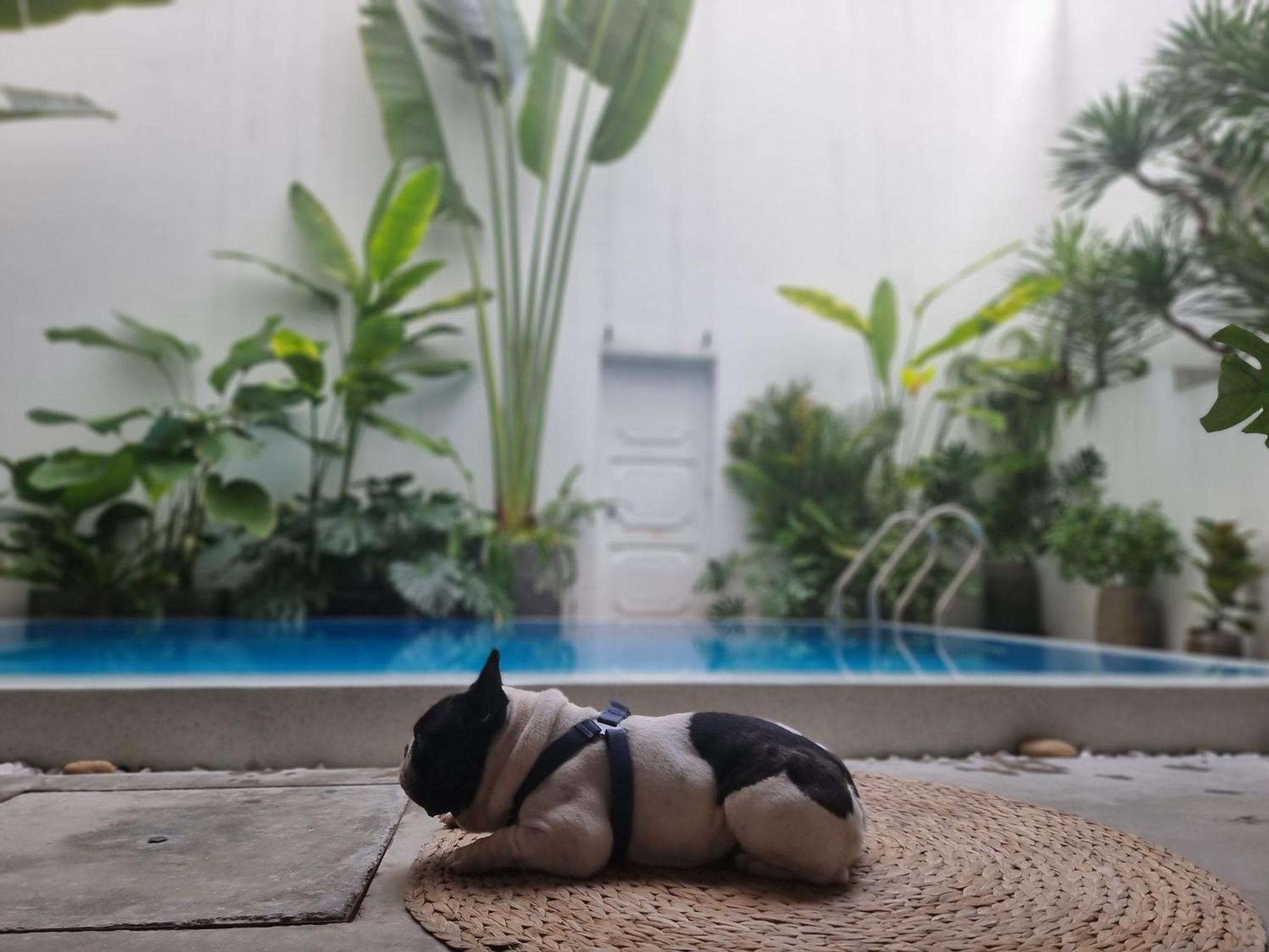 Lada'S House Da Nang Appartement Buitenkant foto